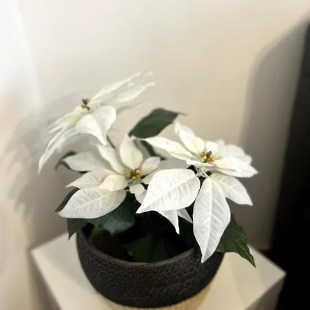 Ruhige Mit Netflix Kueche & Waschmaschine Appartement Stutensee